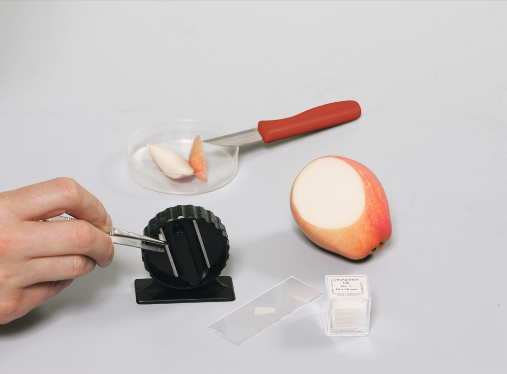 16180 Mini Biology Kit