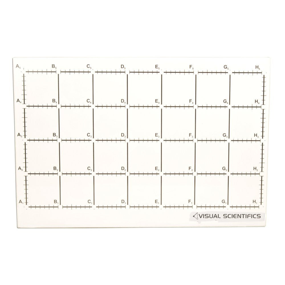 PTBACK Visual Scientifics Back Board
