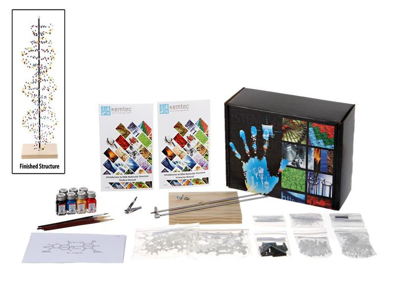 DNA Model with Paint 9-102