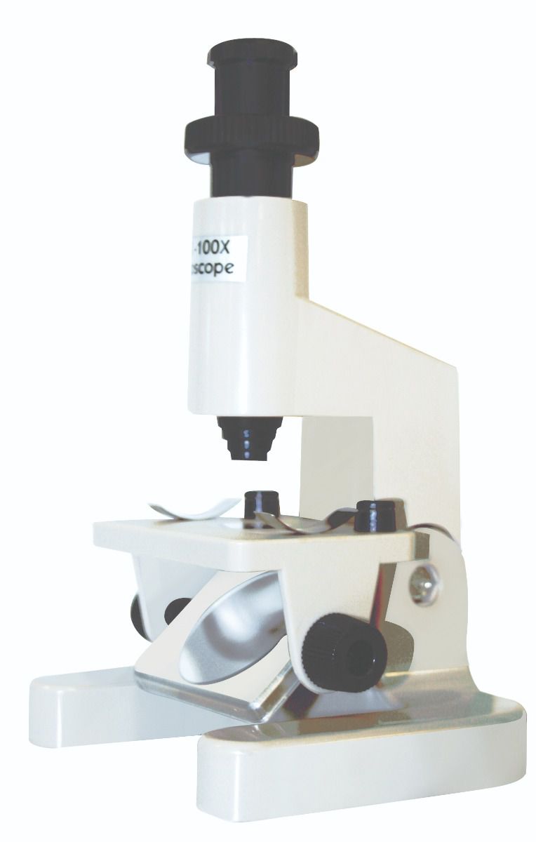 2056 Beginner Microscope