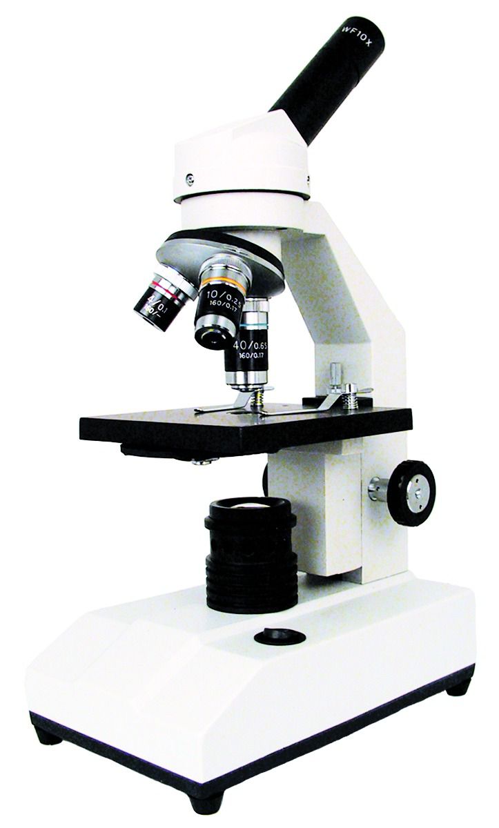 Inclination Microscope 3048L Student Inclined Microscope – Klinger Educational