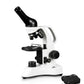 3050-LED  3050 Series Microscopes