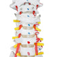 B10209 Flexible Spinal Column