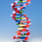 AMDNA-060-12 Advanced miniDNA® 12-layer Kit