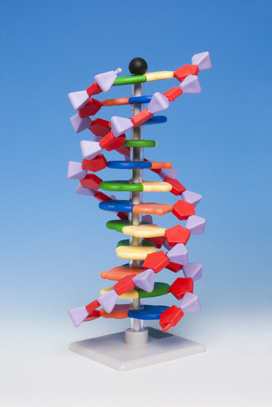 AMDNA-060-12 Advanced miniDNA® 12-layer Kit