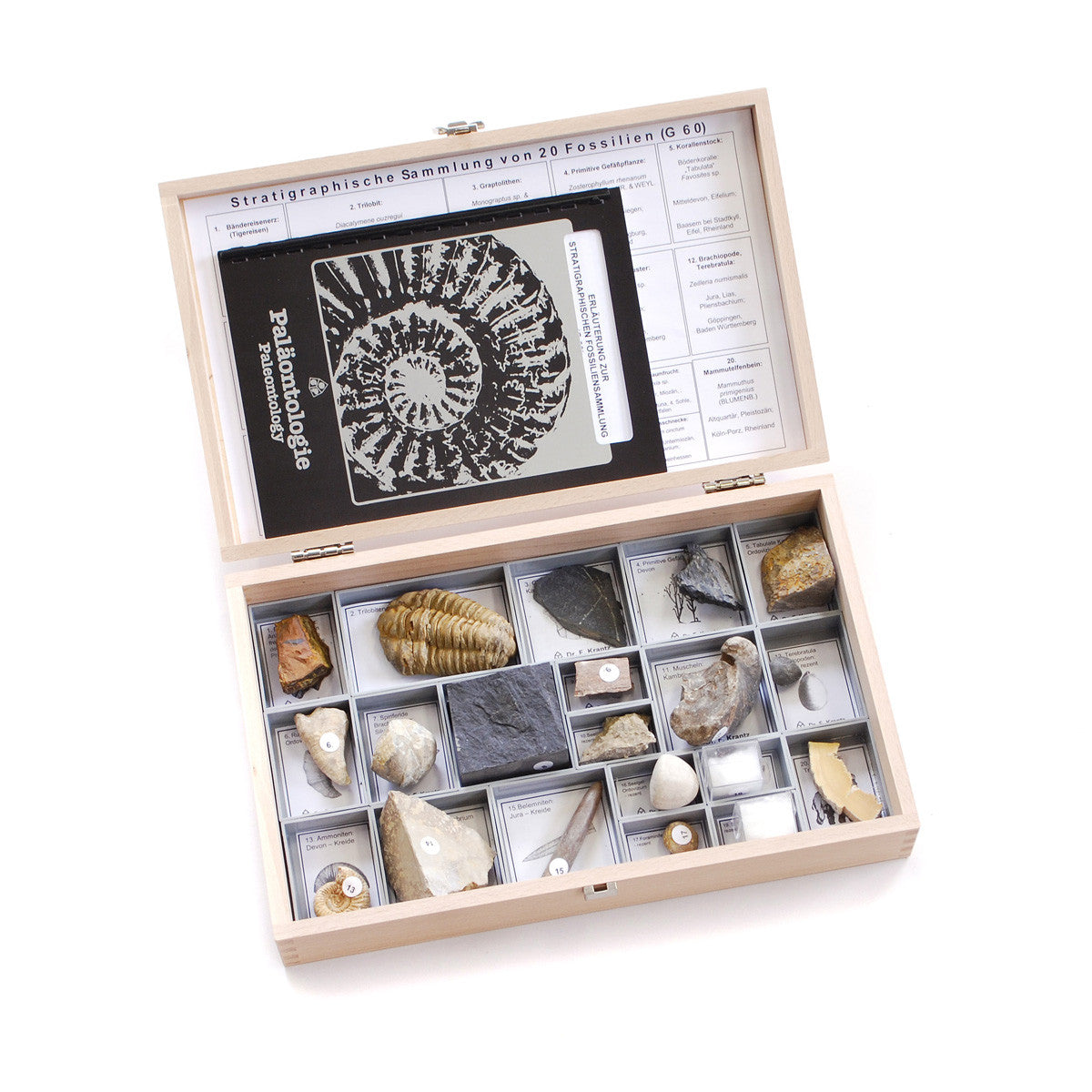 U75020 Stratigraphic Collection 20 Fossils