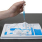 Modeling and Investigating Watersheds Kit #437