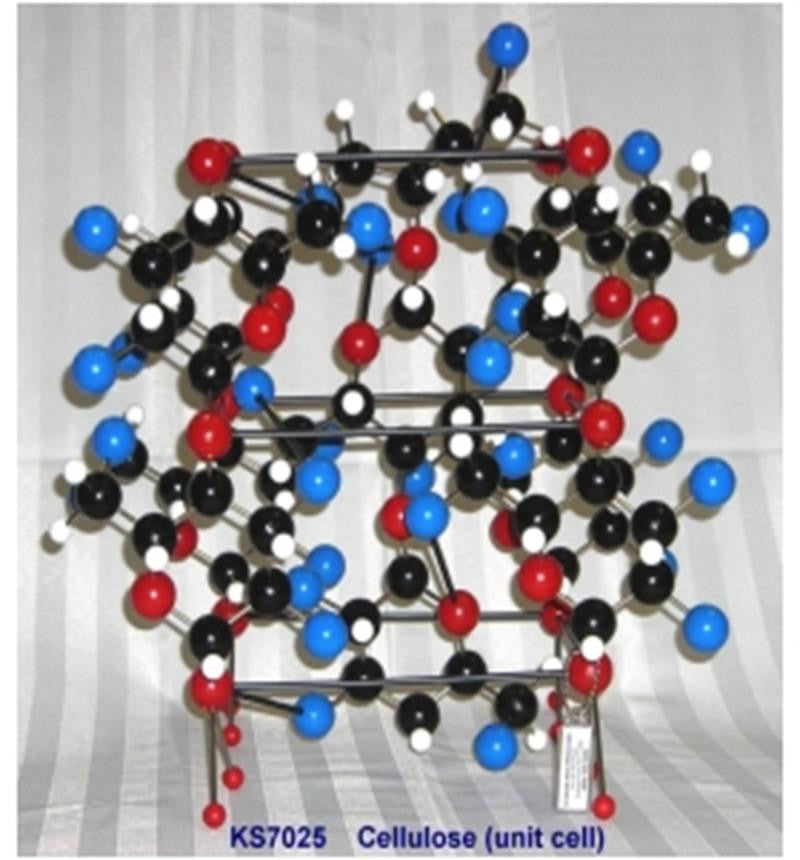 KS7025 Cellulose Molecular Model – Klinger Educational
