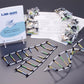 Molecular Model of DNA and its Replication Kit #71