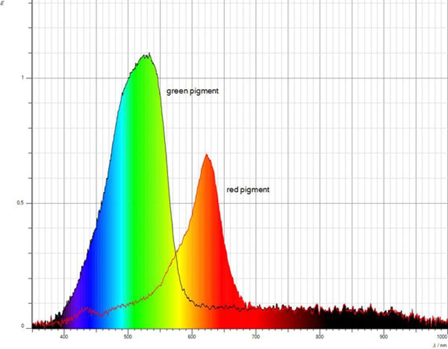 C3.3.1.2 Recording of Absorption Spectra with a Spectrometer